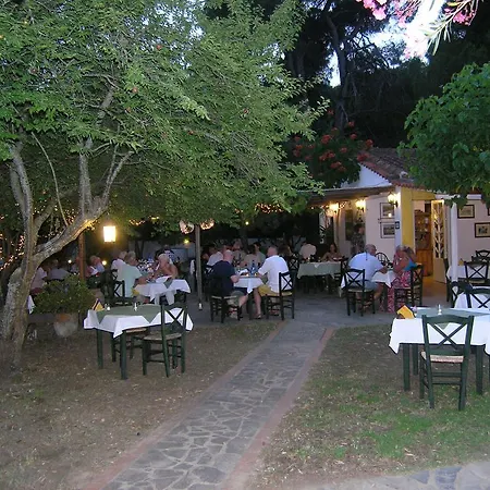 Strophilia * Koukounaries