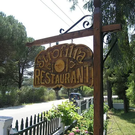 Strophilia * Koukounaries