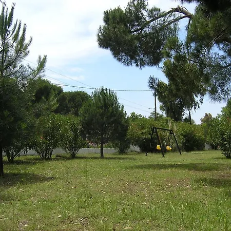 Strophilia * Koukounaries