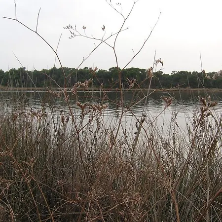 Strophilia Koukounaries